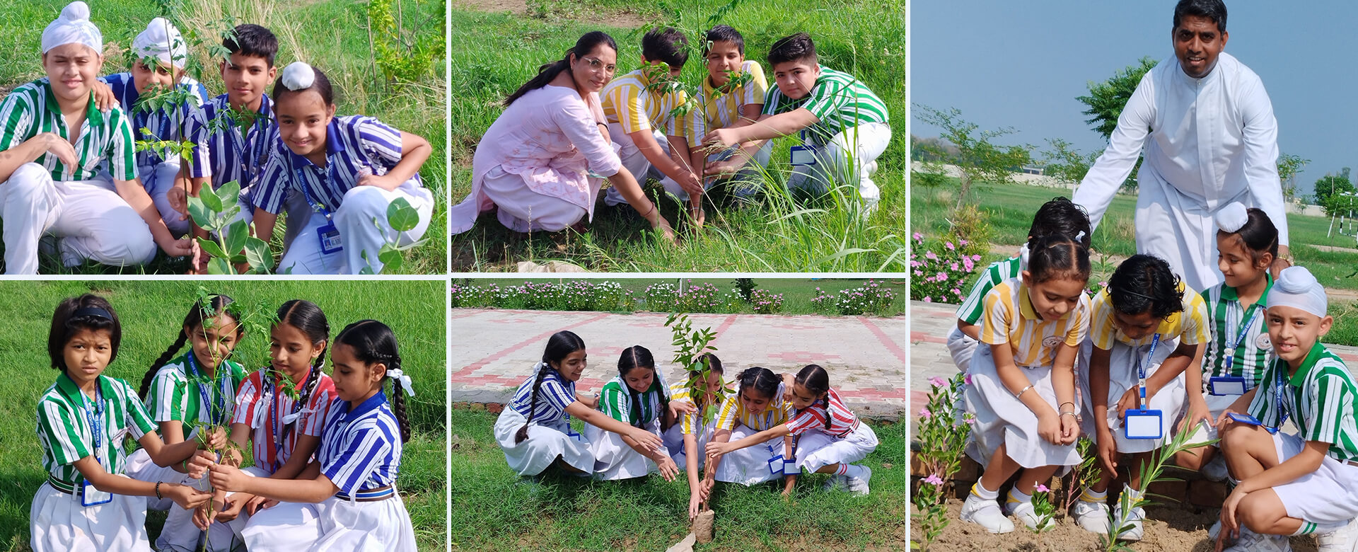 St. Xavier High School, Rania, Haryana