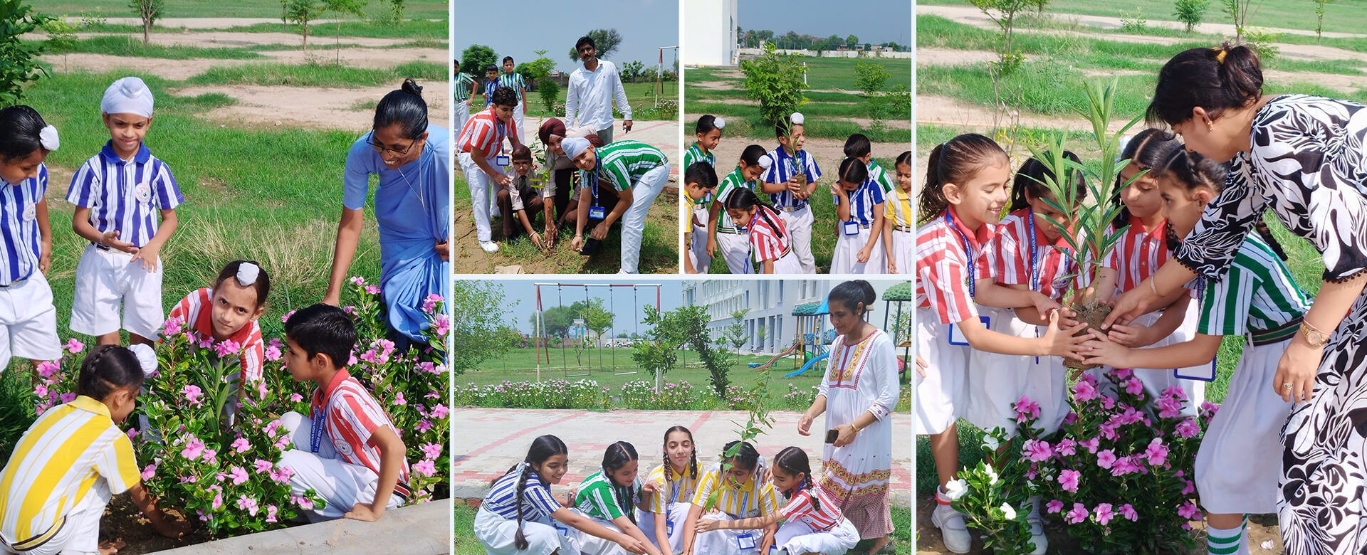 St. Xavier High School, Rania, Haryana